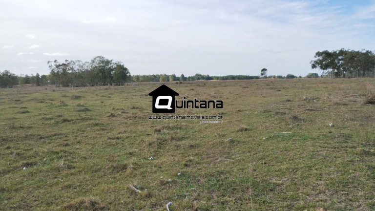 Imagem Imóvel com 2 Quartos à Venda, 470.000 m² em Quinta - Rio Grande Imagem Imóvel com 2 Quartos à Venda, 470.000 m² em Quinta - Rio Grande