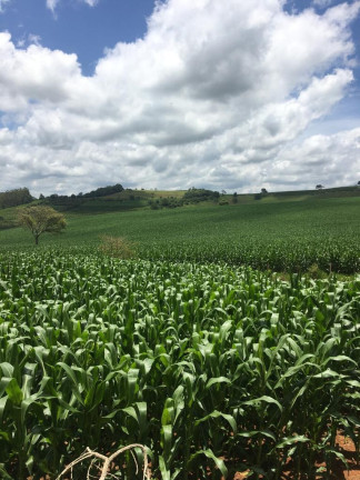Imagem Imóvel à Venda, em Zona Rural - Turvolândia Imagem Imóvel à Venda, em Zona Rural - Turvolândia