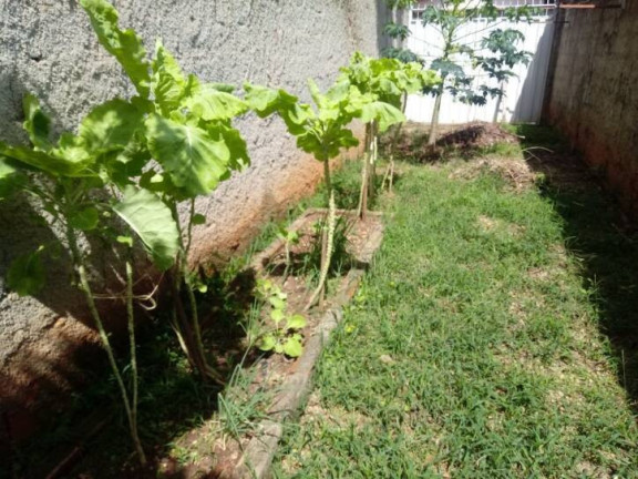 Imagem Casa com 4 Quartos à Venda, 576 m² em São Gabriel - Belo Horizonte