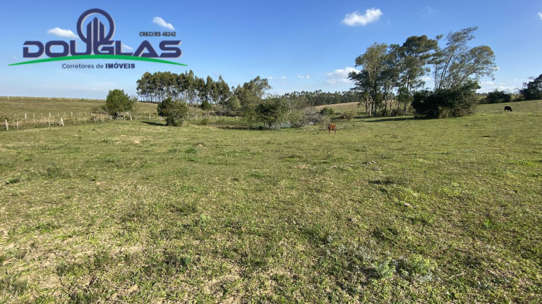 Imagem Casa com 2 Quartos à Venda,  em Viamão