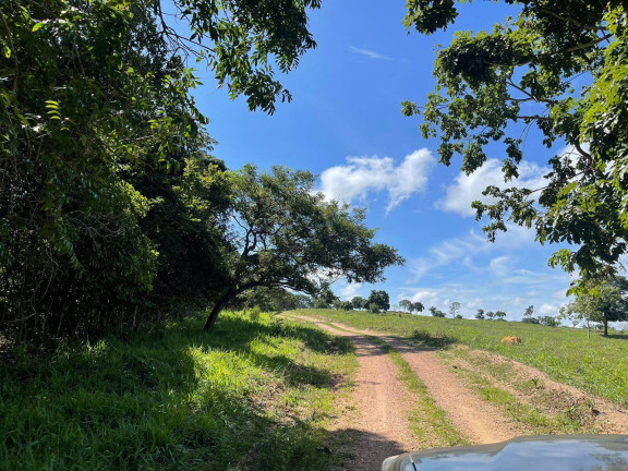 Imagem Chácara à Venda, 12 m² em Zona Rural - Vianópolis Imagem Chácara à Venda, 12 m² em Zona Rural - Vianópolis