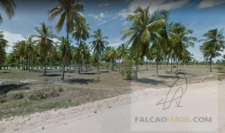 Imagem Terreno à Venda,  em Sítio Do Conde - Conde-ba - Conde