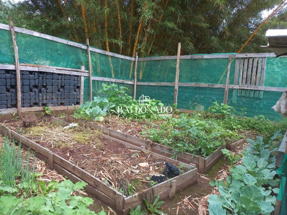 Imagem Fazenda à Venda, 300 m² em Centro - Extrema Imagem Fazenda à Venda, 300 m² em Centro - Extrema