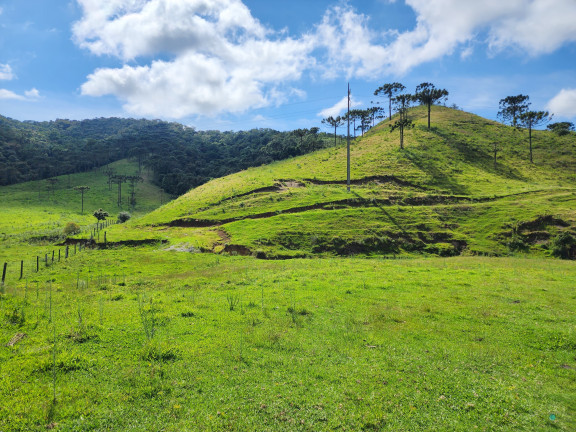 Imagem Imóvel à Venda, 184.000 m² em Zona Rural - Bom Retiro Imagem Imóvel à Venda, 184.000 m² em Zona Rural - Bom Retiro
