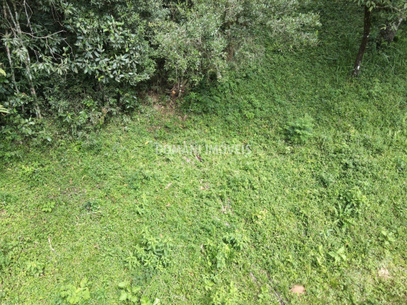 Imagem Terreno à Venda, 1.270 m² em Região Do Imbiri - Campos Do Jordão Imagem Terreno à Venda, 1.270 m² em Região Do Imbiri - Campos Do Jordão