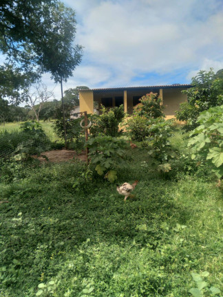 Imagem Chácara com 3 Quartos à Venda, 21 m² em Cromínia Imagem Chácara com 3 Quartos à Venda, 21 m² em Cromínia