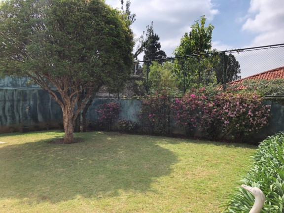 Imagem Casa com 5 Quartos à Venda, 489 m² em Cidade Jardim - São Paulo Imagem Casa com 5 Quartos à Venda, 489 m² em Cidade Jardim - São Paulo