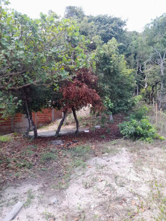 Imagem Terreno à Venda, 301 m² em Praia Da Pipa - Tibau Do Sul Imagem Terreno à Venda, 301 m² em Praia Da Pipa - Tibau Do Sul
