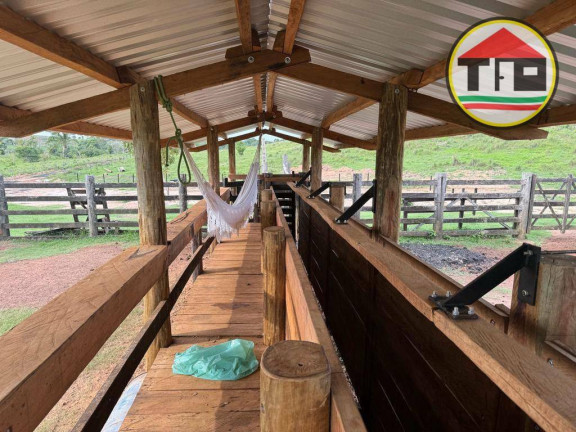 Imagem Fazenda à Venda, 2.420.000 m² em Zona Rural - Nova Ipixuna Imagem Fazenda à Venda, 2.420.000 m² em Zona Rural - Nova Ipixuna