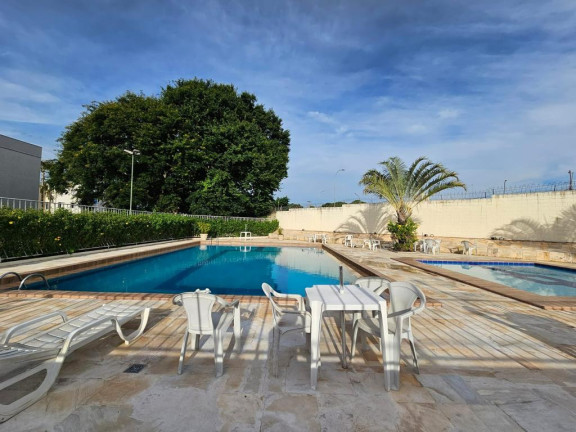 Imagem Apartamento com 2 Quartos à Venda, 55 m² em Jardim Miranda - Campinas Imagem Apartamento com 2 Quartos à Venda, 55 m² em Jardim Miranda - Campinas