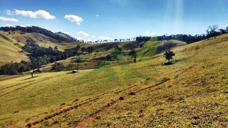 Imagem Fazenda à Venda, 2.420.000 m² em Cambuí - Cambuí Imagem Fazenda à Venda, 2.420.000 m² em Cambuí - Cambuí