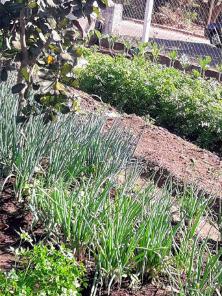 Imagem Terreno à Venda, 1.500 m² em Parque Santa Julieta - Santa Cruz Da Conceição Imagem Terreno à Venda, 1.500 m² em Parque Santa Julieta - Santa Cruz Da Conceição