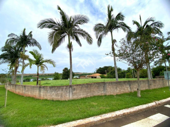 Imagem Fazenda à Venda, em Estância Santa Ruthy - Sertanópolis Imagem Fazenda à Venda, em Estância Santa Ruthy - Sertanópolis