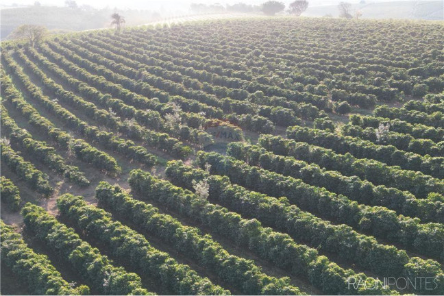 Imagem Fazenda à Venda, 3.650.000 m² em Zona Rual - Andradas Imagem Fazenda à Venda, 3.650.000 m² em Zona Rual - Andradas