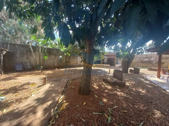 Imagem Imóvel com 4 Quartos à Venda, 3.200 m² em Cândido Portinari - Ribeirão Preto Imagem Imóvel com 4 Quartos à Venda, 3.200 m² em Cândido Portinari - Ribeirão Preto