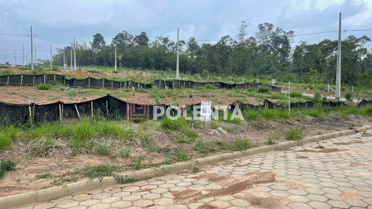 Imagem Terreno à Venda, 360 m² em Vila Floresta Ii - Criciúma