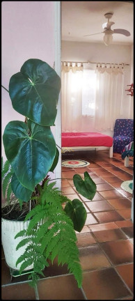 Imagem Casa com 5 Quartos à Venda, 280 m² em Itaguá - Ubatuba Imagem Casa com 5 Quartos à Venda, 280 m² em Itaguá - Ubatuba
