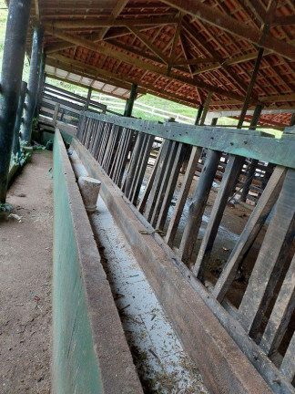 Imagem Fazenda à Venda, 1.000 m² em Campos De Cunha  - Cunha