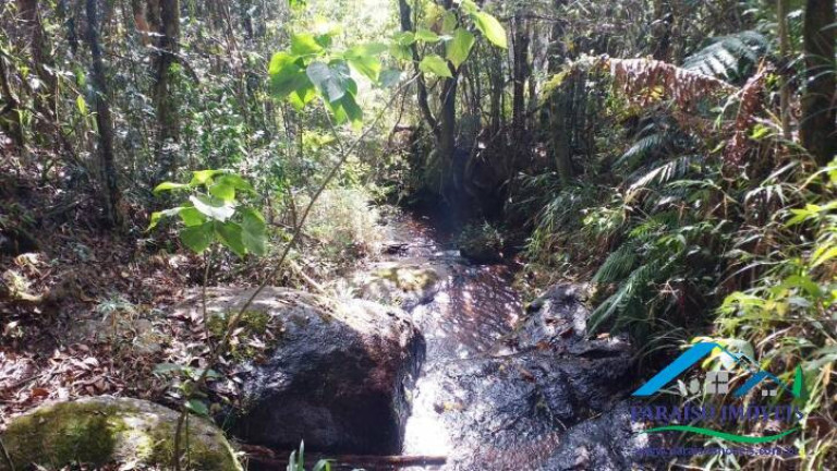 Imagem Terreno à Venda, 113.740 m² em Centro - Gonçalves
