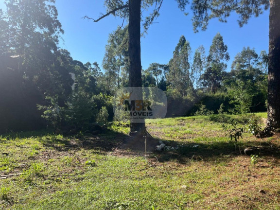 Imagem Terreno à Venda, 5.633 m² em Pousada Da Neve - Nova Petrópolis Imagem Terreno à Venda, 5.633 m² em Pousada Da Neve - Nova Petrópolis