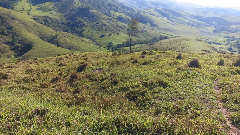 Imagem Fazenda à Venda, 100 m² em Espírito Santo - Paraibuna Imagem Fazenda à Venda, 100 m² em Espírito Santo - Paraibuna
