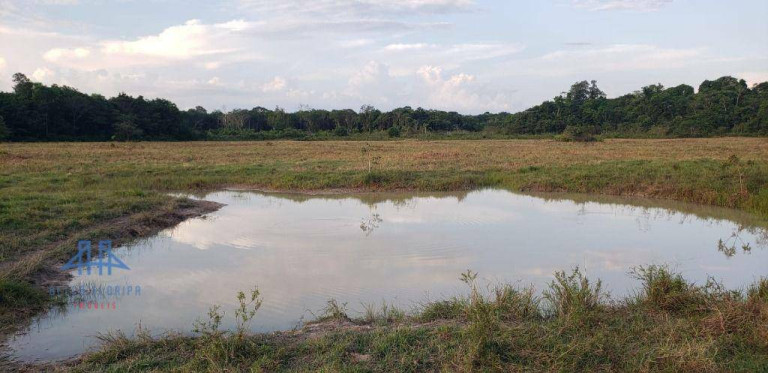 Imagem Fazenda à Venda, 2.190.000 m² em Alça Viaria - Acará Imagem Fazenda à Venda, 2.190.000 m² em Alça Viaria - Acará