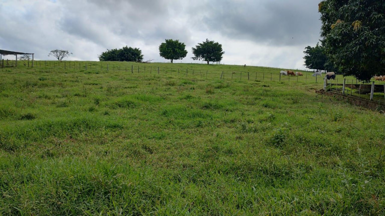 Imagem Fazenda à Venda, 64 m² em Rural - Itapetininga