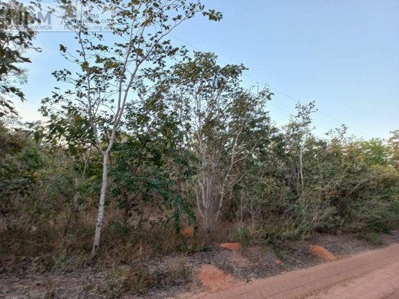 Imagem Chácara à Venda, 19.500.000 m² em Centro - Arinos