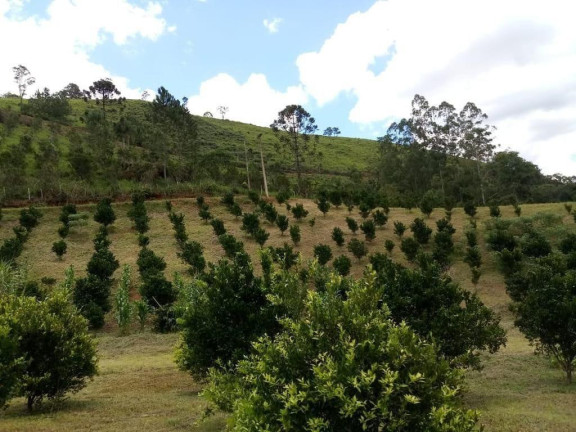 Imagem Imóvel com 2 Quartos à Venda, 51.700 m² em Centro - Cerro Azul Imagem Imóvel com 2 Quartos à Venda, 51.700 m² em Centro - Cerro Azul