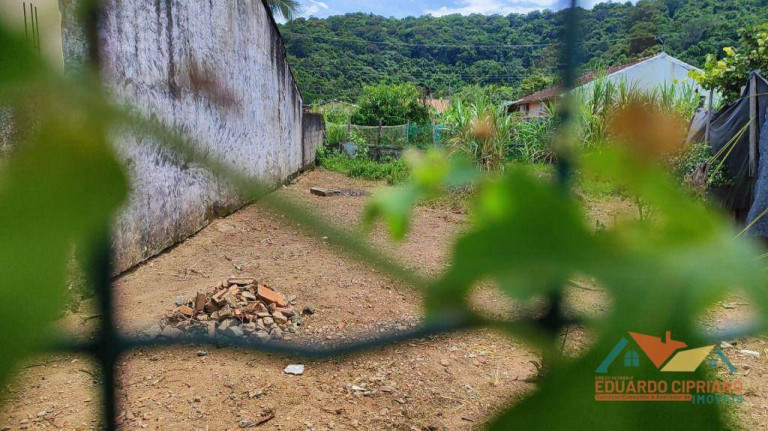 Imagem Terreno à Venda, 250 m² em Massaguaçu - Caraguatatuba
