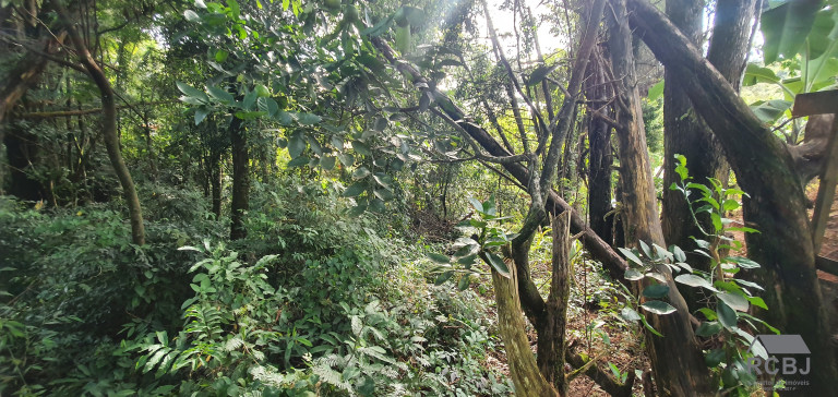 Imagem Terreno à Venda, 1.000 m² em Retiro Do Chalé - Brumadinho Imagem Terreno à Venda, 1.000 m² em Retiro Do Chalé - Brumadinho