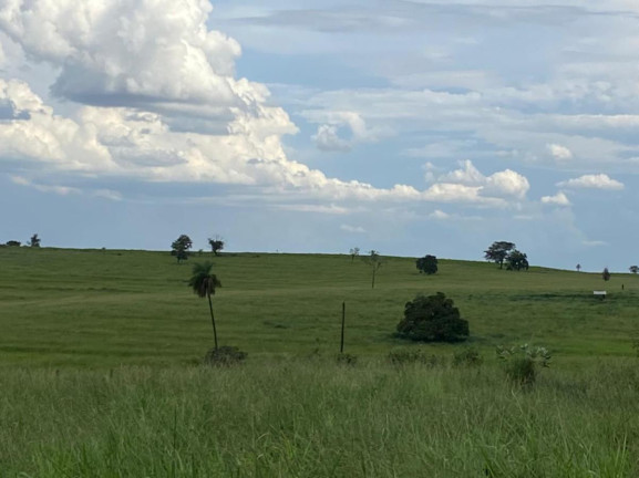 Imagem Fazenda à Venda, 532 m² em Rural - Jales