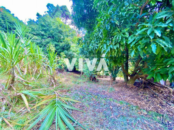 Imagem Fazenda à Venda, 10.000 m² em Vila Rica - Extrema