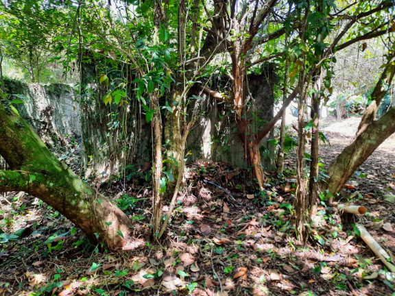 Imagem Terreno à Venda, 2.437 m² em Chácara Eliana - Cotia