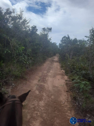 Imagem Fazenda à Venda, 480 m² em Zona Rural - Guiratinga Imagem Fazenda à Venda, 480 m² em Zona Rural - Guiratinga