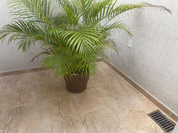 Imagem Casa com 3 Quartos à Venda, 324 m² em Vila Scarpelli - Santo André