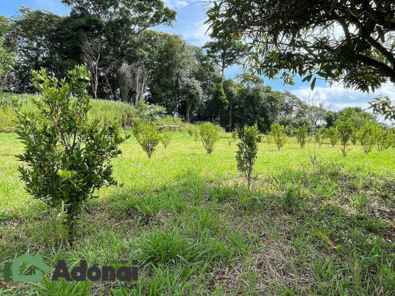 Imagem Chácara com 7 Quartos à Venda, 48.000 m² em Traviu - Jundiaí Imagem Chácara com 7 Quartos à Venda, 48.000 m² em Traviu - Jundiaí