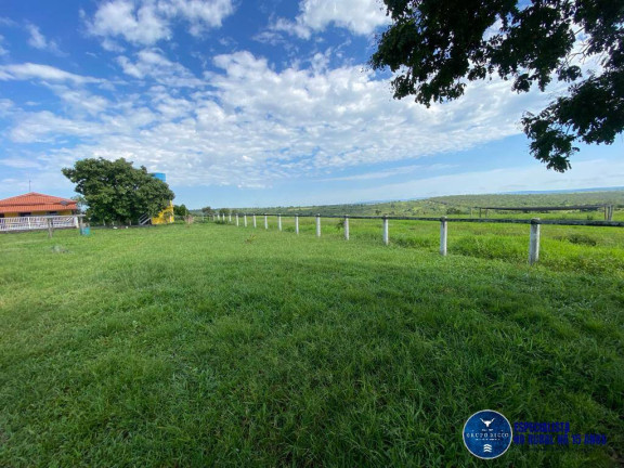 Imagem Fazenda à Venda, 121 m² em Zona Rural - Torixoréu Imagem Fazenda à Venda, 121 m² em Zona Rural - Torixoréu