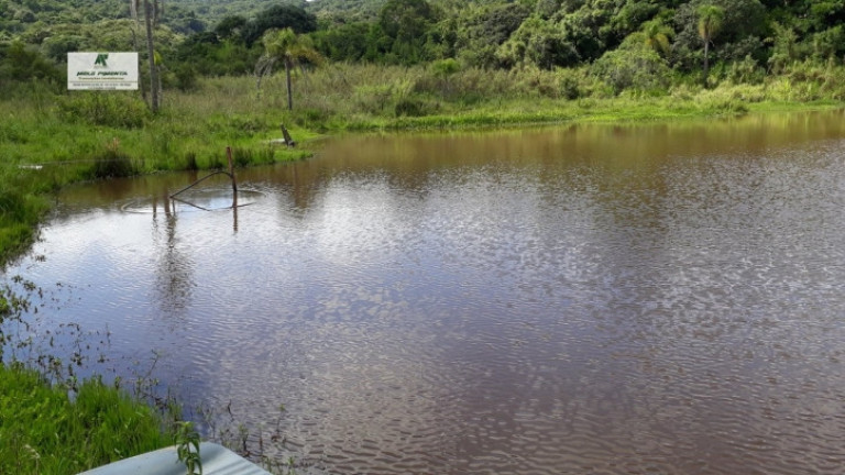 Imagem Chácara com 2 Quartos à Venda, 2.500 m² em Sorocamirim - São Roque Imagem Chácara com 2 Quartos à Venda, 2.500 m² em Sorocamirim - São Roque