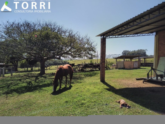 Imagem Imóvel com 1 Quarto à Venda, 1.137.400 m² em Centro - Paranapanema Imagem Imóvel com 1 Quarto à Venda, 1.137.400 m² em Centro - Paranapanema