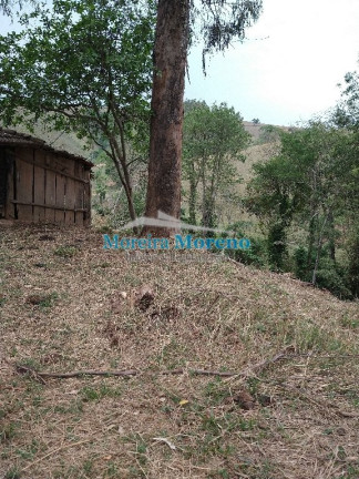 Imagem Imóvel à Venda, 5 m² em Zona Rural - Borda Da Mata Imagem Imóvel à Venda, 5 m² em Zona Rural - Borda Da Mata
