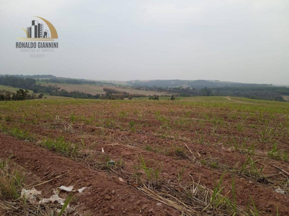 Imagem Fazenda à Venda, 968.000 m² em Zona Rural - Mombuca