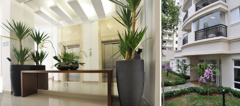 Imagem Apartamento com 2 Quartos à Venda, em Chácara Inglesa - São Paulo Imagem Apartamento com 2 Quartos à Venda, em Chácara Inglesa - São Paulo