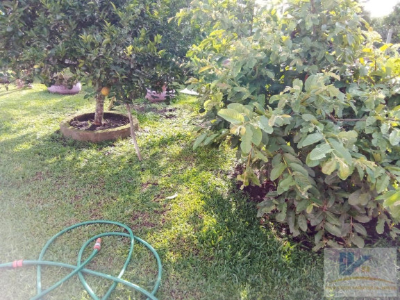 Imagem Casa com 2 Quartos à Venda, 65 m² em Campo Largo Da Roseira - São José Dos Pinhais