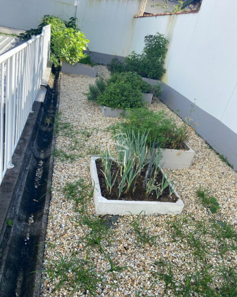 Imagem Apartamento com 3 Quartos à Venda, 73 m² em Boa Vista - Joinville