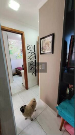 Imagem Apartamento com 2 Quartos à Venda, 50 m² em Vila Endres - Guarulhos Imagem Apartamento com 2 Quartos à Venda, 50 m² em Vila Endres - Guarulhos