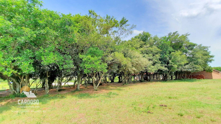 Imagem Fazenda à Venda, 980.000 m² em Centro - Viamão Imagem Fazenda à Venda, 980.000 m² em Centro - Viamão