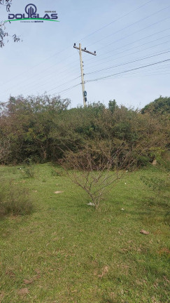 Imagem Chácara à Venda, 40.000 m² em Viamão Imagem Chácara à Venda, 40.000 m² em Viamão
