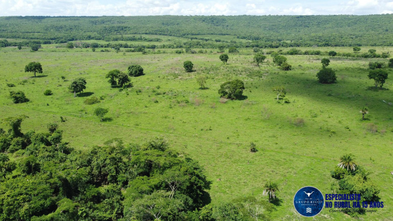 Imagem Fazenda à Venda, 108 m² em Zona Rural - Montes Claros De Goiás Imagem Fazenda à Venda, 108 m² em Zona Rural - Montes Claros De Goiás