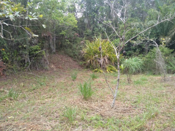 Imagem Imóvel à Venda, em Rural - Uruçuca Imagem Imóvel à Venda, em Rural - Uruçuca